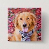 Golden Retriever im Locarno Button (Vorderseite)