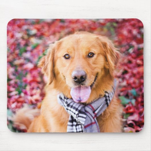 Golden Retriever im Locarno Mousepad (Vorne)