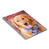 Golden Retriever im Locarno Notizblock (Rechte Seite)