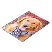 Golden Retriever im Locarno Notizblock (Linke Seite)
