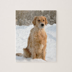 Golden retriever im Schnee Puzzle