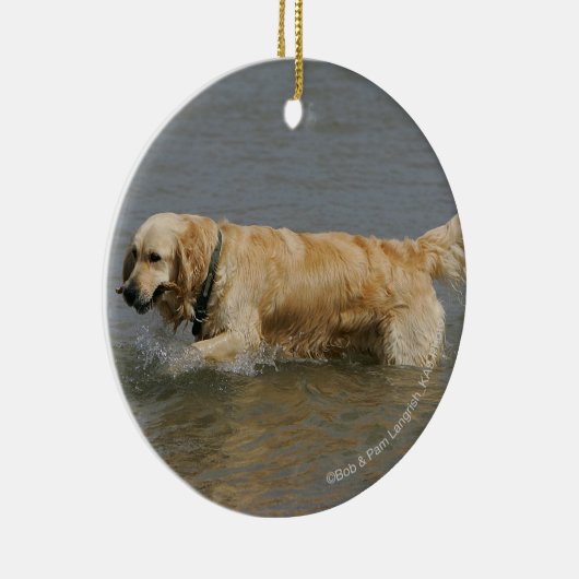 Golden retriever im Wasser Keramikornament (Rechts)