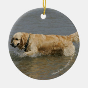 Golden retriever im Wasser Keramikornament