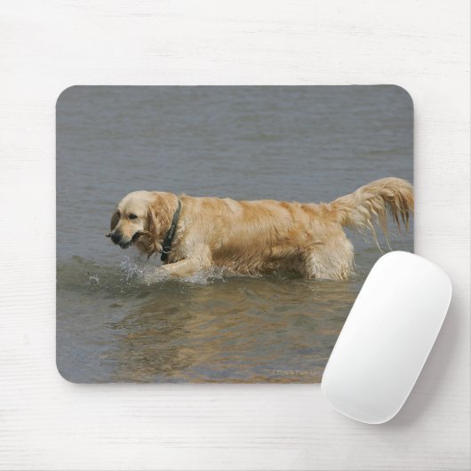 Golden retriever im Wasser Mousepad (Mit Mouse)