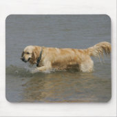 Golden retriever im Wasser Mousepad (Vorne)