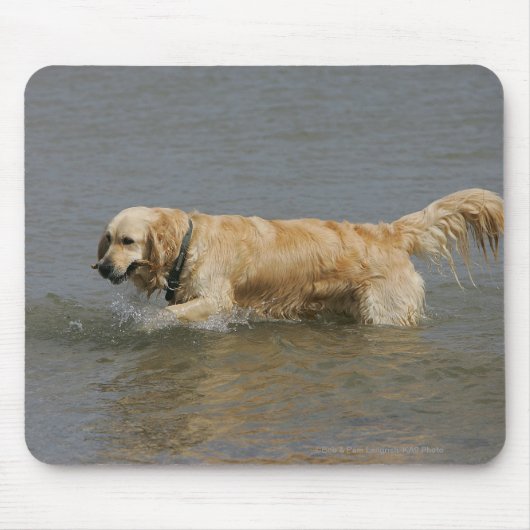 Golden retriever im Wasser Mousepad (Vorne)