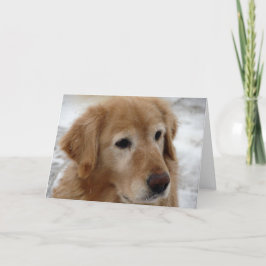 Golden retriever im Winter Feiertagskarte