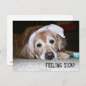 Golden Retriever in Bandages wird bald gut Postkarte (Vorne/Hinten)
