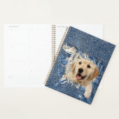 Golden Retriever in Blue Jean Hole Planer (Anzeige)
