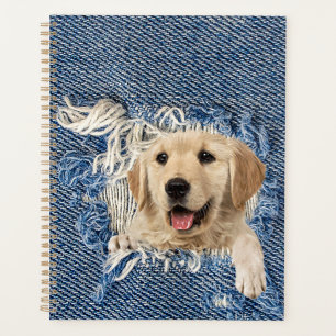 Golden Retriever in Blue Jean Hole Planer