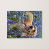 Golden retriever in den blauen Mützen Puzzle (Horizontal)