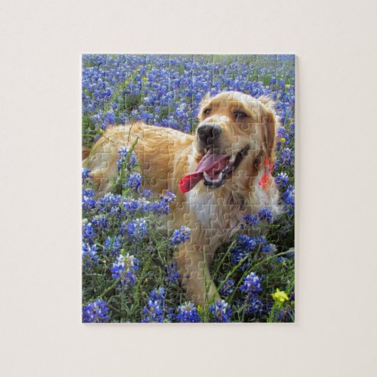 Golden retriever in den blauen Mützen Puzzle (Vertikal)