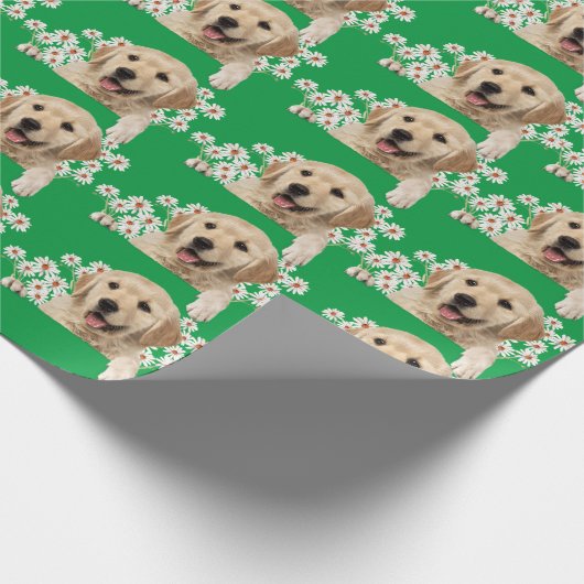 Golden Retriever in den Gängen auf Grün Geschenkpapier (Ecke)