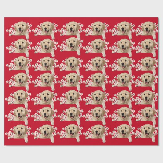 Golden Retriever in den Gängen auf rot Geschenkpapier (Flach)