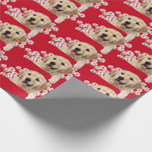 Golden Retriever in den Gängen auf rot Geschenkpapier (Ecke)