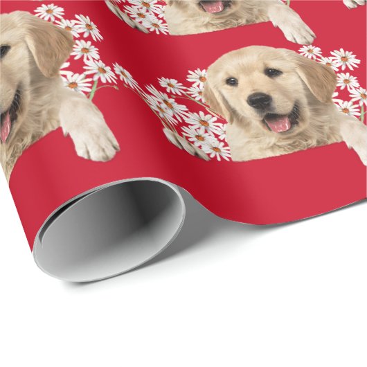 Golden Retriever in den Gängen auf rot Geschenkpapier (Rolleneckpunkt)