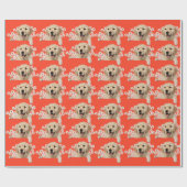 Golden Retriever in den Gänsen auf Orange Geschenkpapier (Flach)