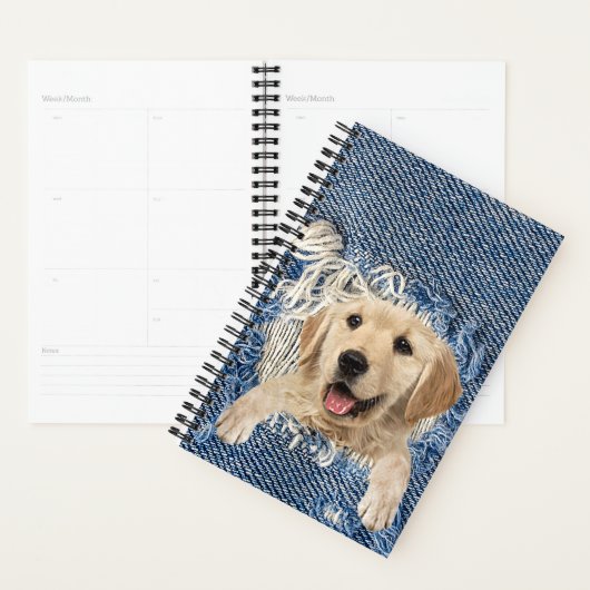 Golden Retriever in Denim Hole Planer (Anzeige)