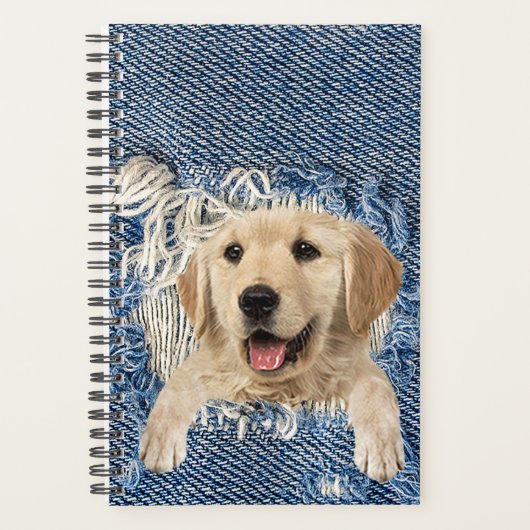 Golden Retriever in Denim Hole Planer (Vorderseite)