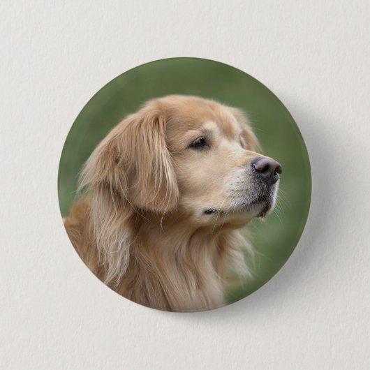 Golden retriever in der Nahaufnahme Button (Vorderseite)