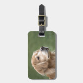 Golden retriever in der Nahaufnahme Gepäckanhänger (Vorderseite vertikal)