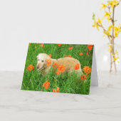 Golden Retriever in Pappi Karte (Gelbe Blume)