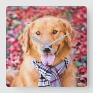 Golden Retriever In Scarf Quadratische Wanduhr