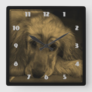 Golden Retriever in Sepia Tones Quadratische Wanduhr