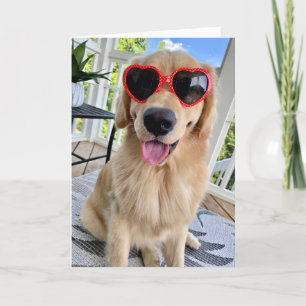Golden Retriever in Sonnenbrille Sommergruss Karte