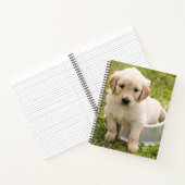 Golden Retriever in Water Bowl Spirale Notebook Notizblock (Innenseite)