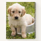 Golden Retriever in Water Bowl Spirale Notebook Notizblock (Rückseite)