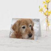 Golden Retriever in Winter All Chance Karte (Gelbe Blume)