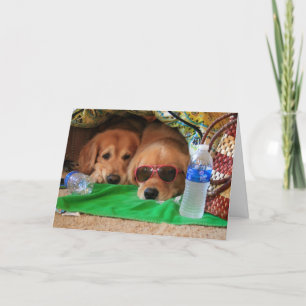 Golden Retriever Indoor Picnic Grußkarte Karte