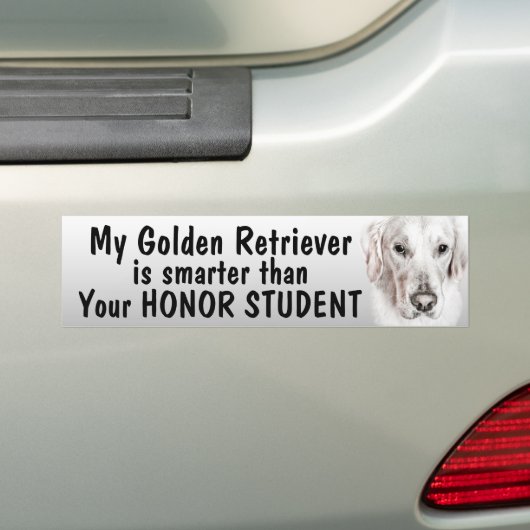 Golden retriever - intelligenter als Student - Autoaufkleber (Auf Auto)