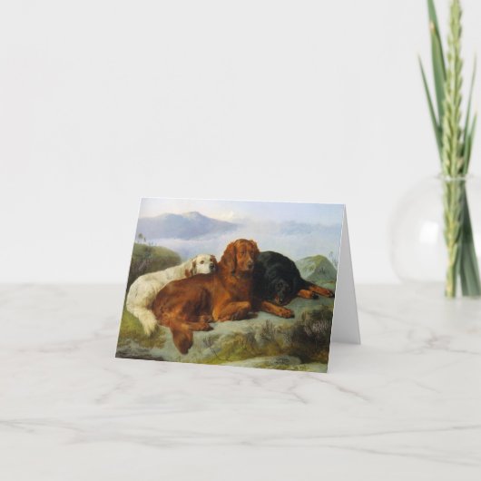 Golden retriever, Iren und Gordon-Setzer Notecard Karte (Vorderseite)