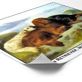 Golden Retriever, Irish Setter & Gordon Setter Poster (Ecke)