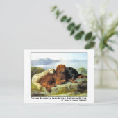 Golden Retriever, Irish Setter & Gordon Setter Postkarte (Stehend Vorderseite)