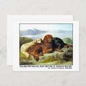 Golden Retriever, Irish Setter & Gordon Setter Postkarte (Vorne/Hinten)