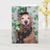 Golden Retriever Irish St Patrick's Day Karte (Gelbe Blume)