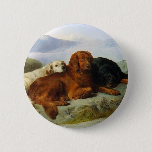 Golden Retriever, Irish und Gordon Setter Button (Vorderseite)