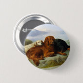 Golden Retriever, Irish und Gordon Setter Button (Vorne & Hinten)