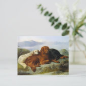 Golden Retriever, Irish und Gordon Setter Postcard Postkarte (Stehend Vorderseite)