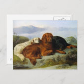 Golden Retriever, Irish und Gordon Setter Postcard Postkarte (Vorne/Hinten)
