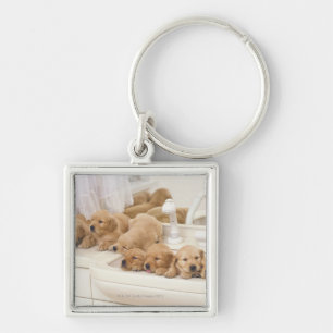 Golden retriever; ist ein verhältnismäßig moder schlüsselanhänger
