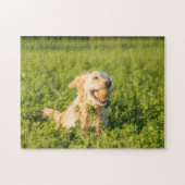 Golden Retriever Jig Saw Puzzle (Horizontal)