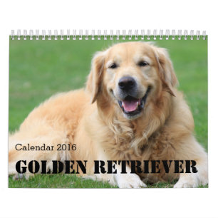 Golden Retriever Kalender 2016 Personalisieren Sie