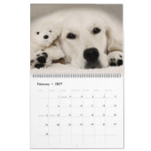 Golden retriever-Kalender 2018 Kalender (Feb 2027)