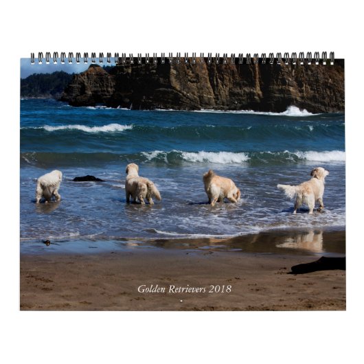 Golden retriever-Kalender 2018 Kalender (Titelbild)