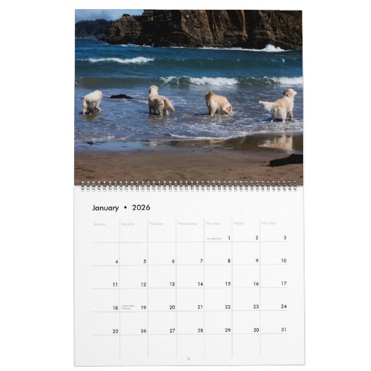 Golden retriever-Kalender 2018 Kalender (Jan 2026)
