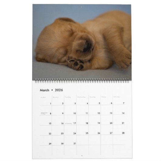 Golden retriever-Kalender 2018 Kalender (Mär 2026)